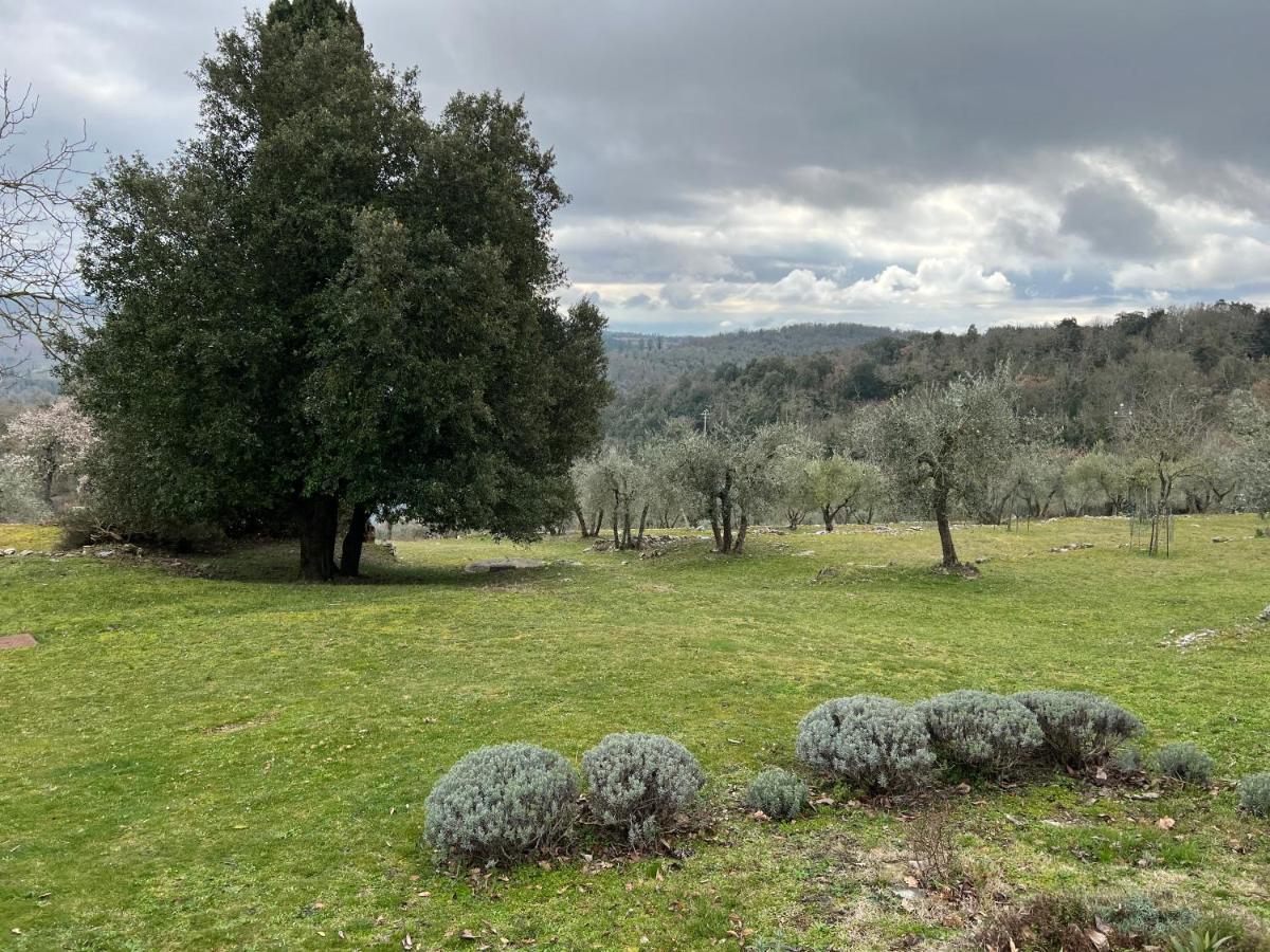 Casa Vanina In Toscana Castellina in Chianti Ngoại thất bức ảnh