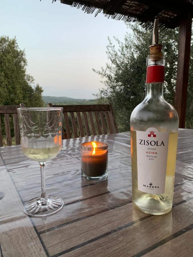 Casa Vanina In Toscana Castellina in Chianti Ngoại thất bức ảnh